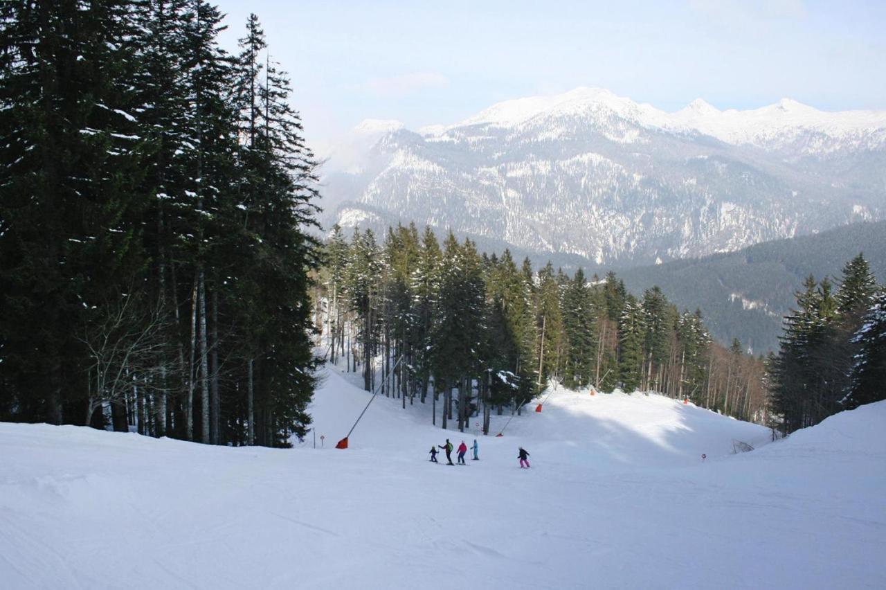 Holiday Resort Altaussee, Lichtersberg Exteriér fotografie